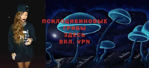 экстази Дмитриев