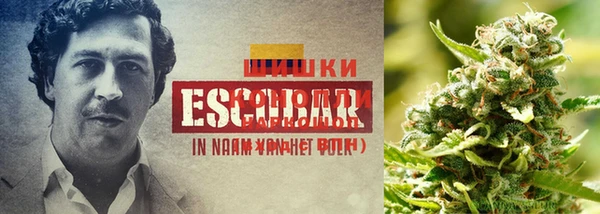 каннабис Дмитровск