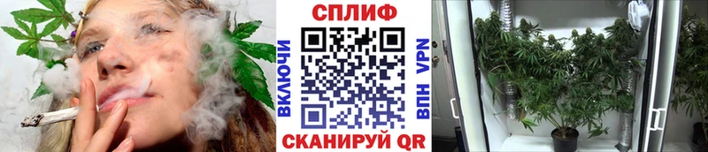 сколько стоит  Невель  Каннабис тримм 